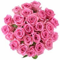 Розовая роза 50см