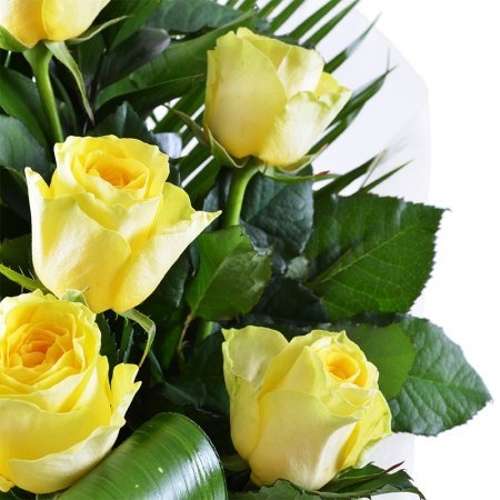 Желтая роза 50см Бонн