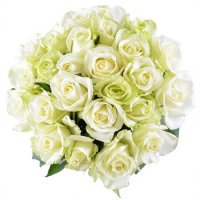 Белая роза 50см