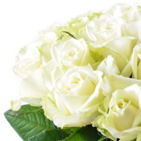 Белая роза 50см