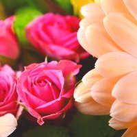 Букет цветов Цветной Гиссен
														