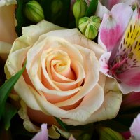 Bouquet of flowers Bride
														