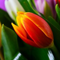 Bouquet of flowers Amsterdam Guelph
														