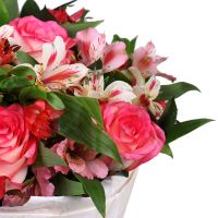 Букет цветов Именинница Барановичи
														
