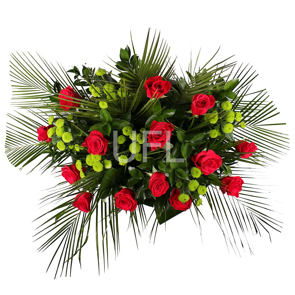 Funeral arrangement Feniks