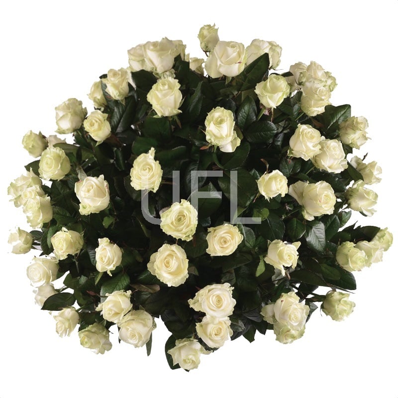 Funeral basket of roses Funeral basket of roses