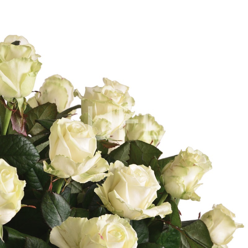 Funeral basket of roses