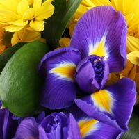 Bouquet of flowers Ukrainian
														