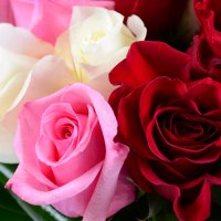 Bouquet of tenter roses Kherson