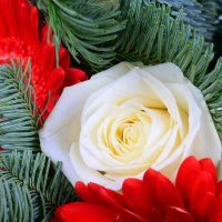 Christmas tree bouquet+Chocolate Santa Claus Kiev