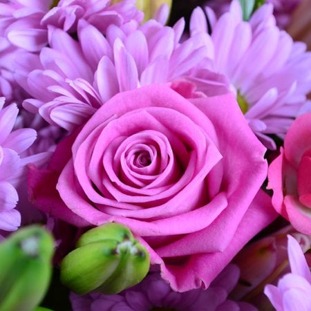 Букет цветов Розовый 
													
