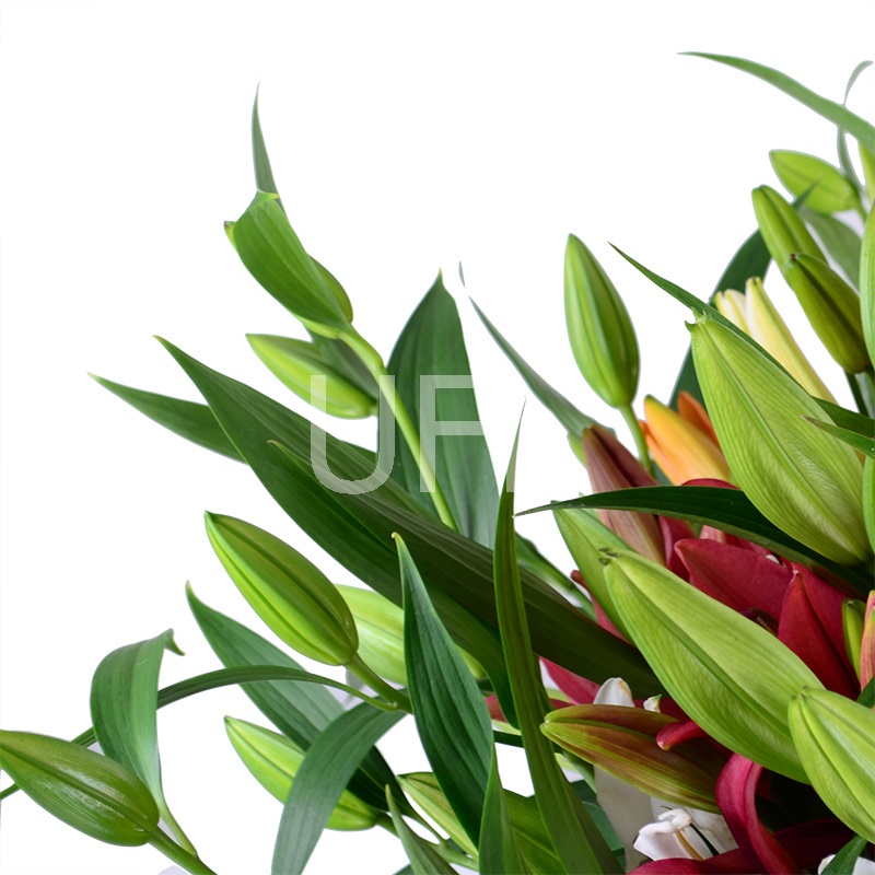 Bouquet of flowers Lilies
													