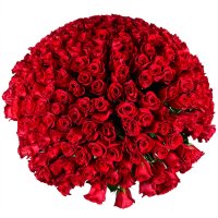 Huge bouquet of roses