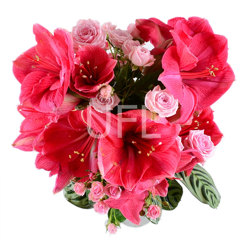 Bouquet With amaryllis
													