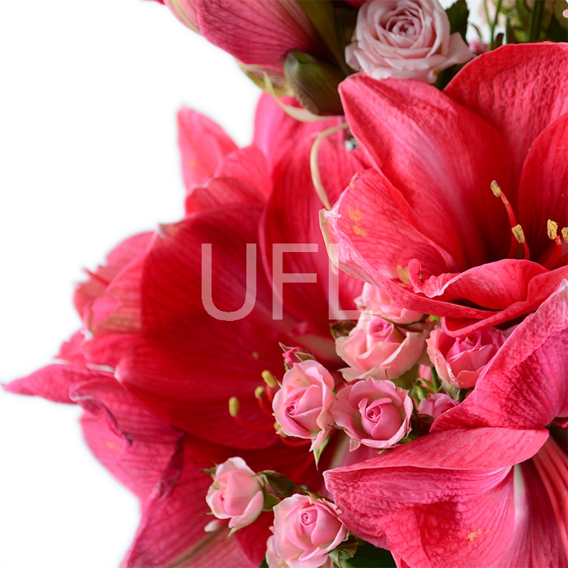  Bouquet With amaryllis
													