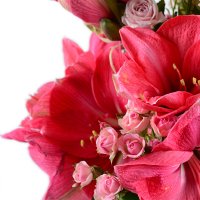  Bouquet With amaryllis
														