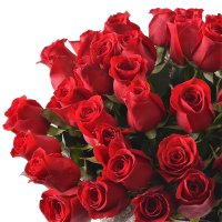 51 преміум троянда + кулька у подарунок Дніпро