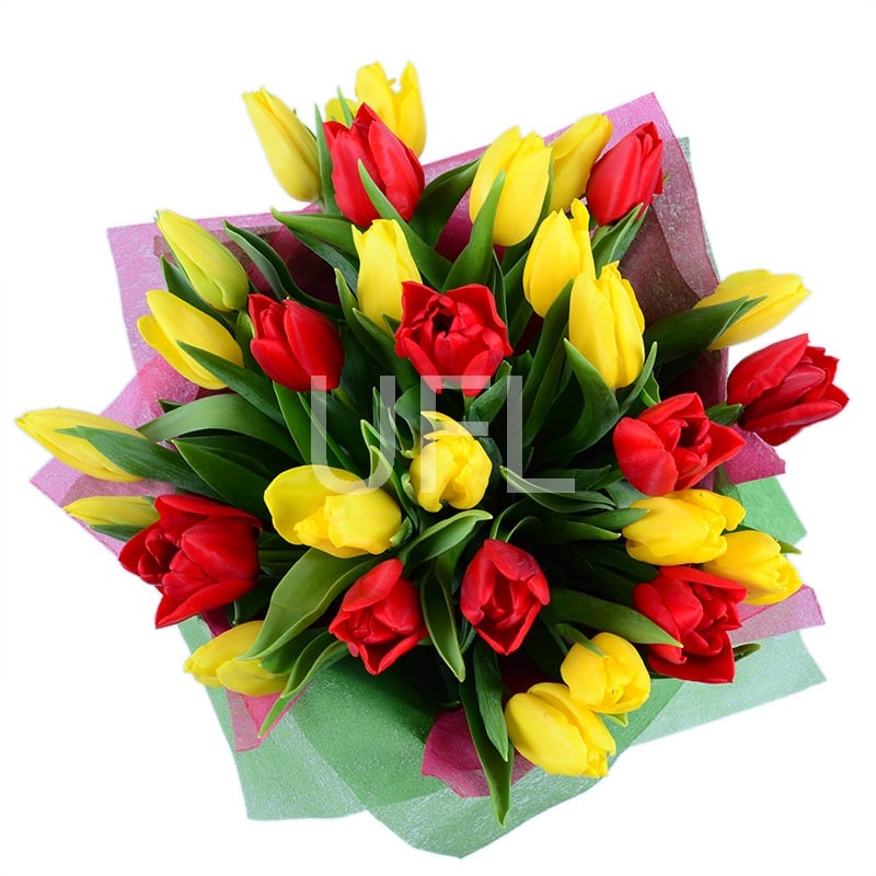 Red and yellow tulips