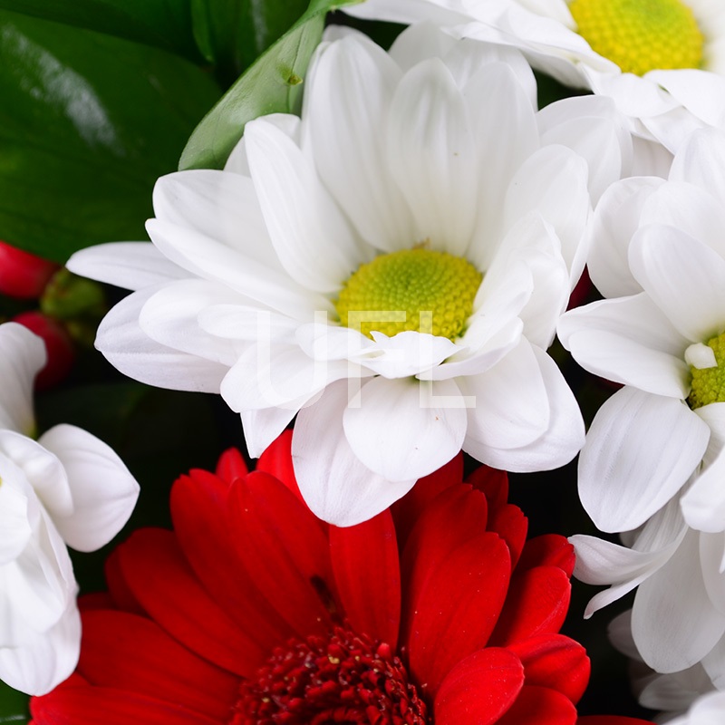 Букет квітів Червоно-білий
													