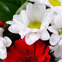 Букет квітів Червоно-білий Маріуполь (доставка тимчасово не виконується)