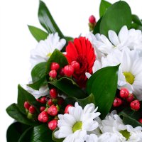 Букет квітів Червоно-білий Миколаїв
