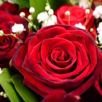  Bouquet Red heart Escaldes
														