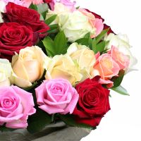 Multicolored roses (51 pcs)