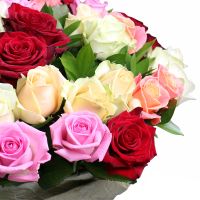 Multicolored roses (51 pcs) Belo Horizonte