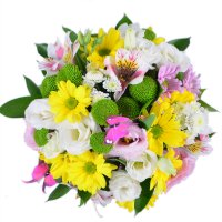  Bouquet Spring gift
														