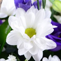 Букет квітів Свіжість Фаджето-Ларіо
														