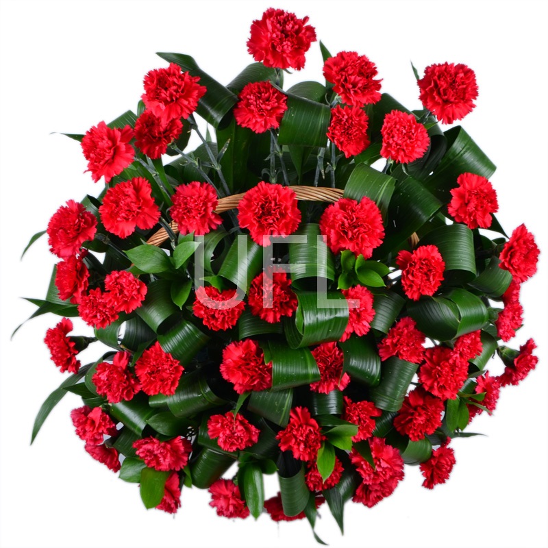 Funeral basket of carnations Funeral basket of carnations