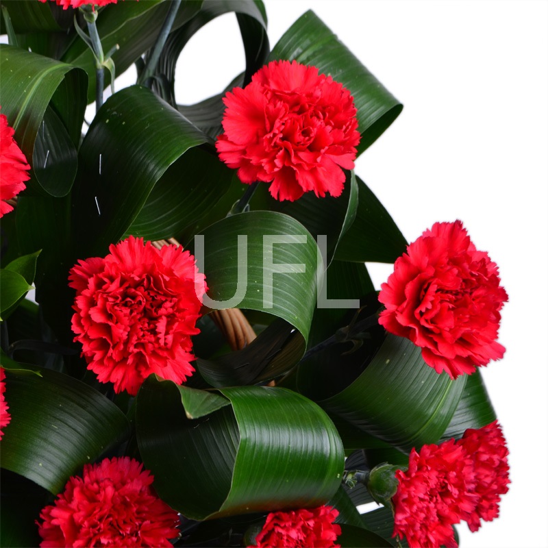 Funeral basket of carnations Funeral basket of carnations