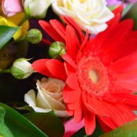 Bouquet of flowers Joyful
														