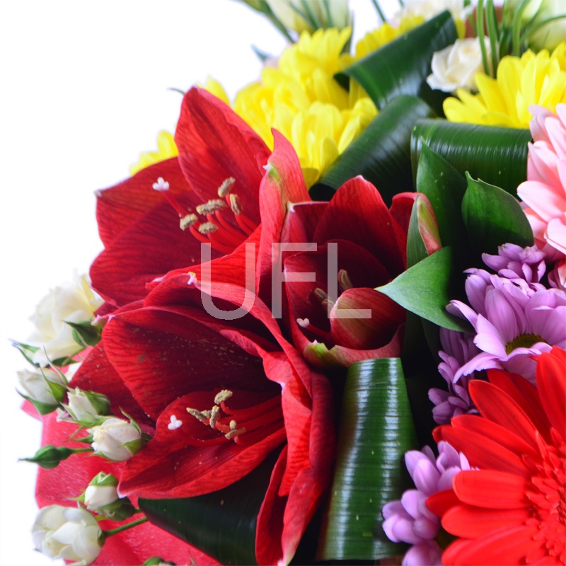 Bouquet of flowers Joyful
													