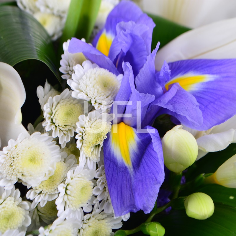 Букет квітів Біло-синій
													