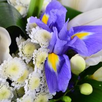Букет цветов Бело-синий Мозырь
														