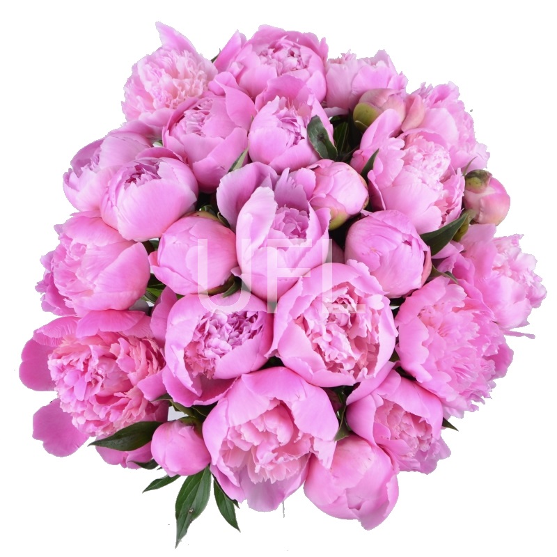  Bouquet Pink peonies
													