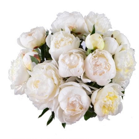 White peonies 553 $