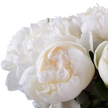 White peonies 553 $