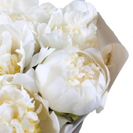  Bouquet White peonies
														