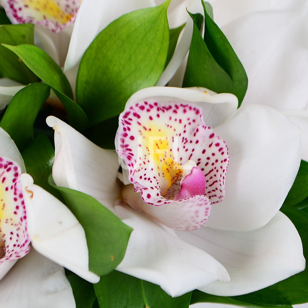 White Orchid wedding bouquet