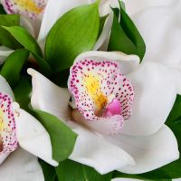 White Orchid wedding bouquet