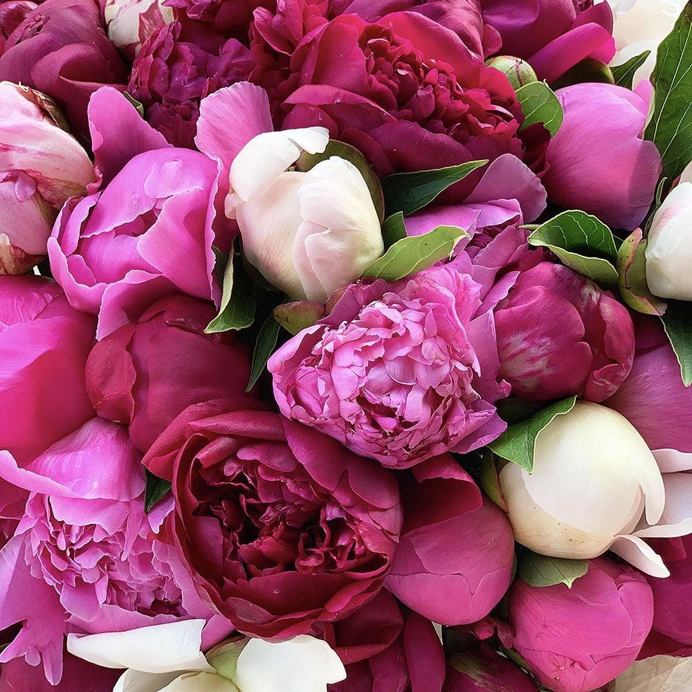  Bouquet Mixed peonies
													