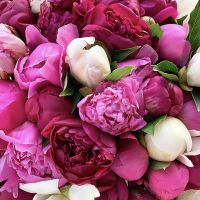  Bouquet Mixed peonies
														