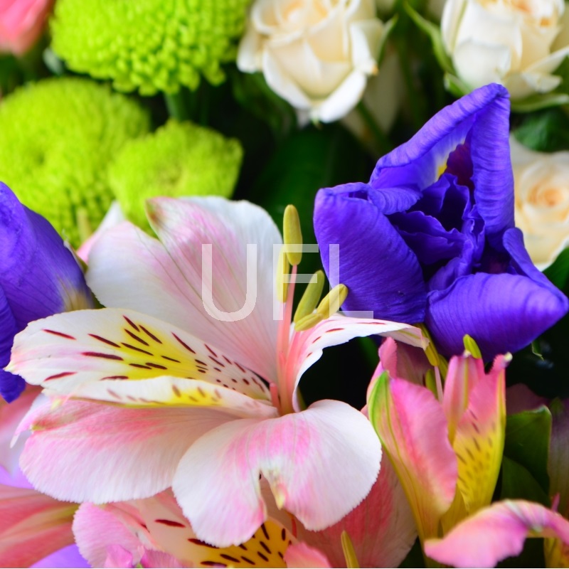 Bouquet of flowers Wonderful
													