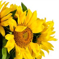  Bouquet Of sunflowers
														