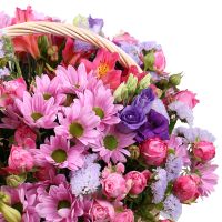  Bouquet Purple basket Dabrowa Gornicza
														