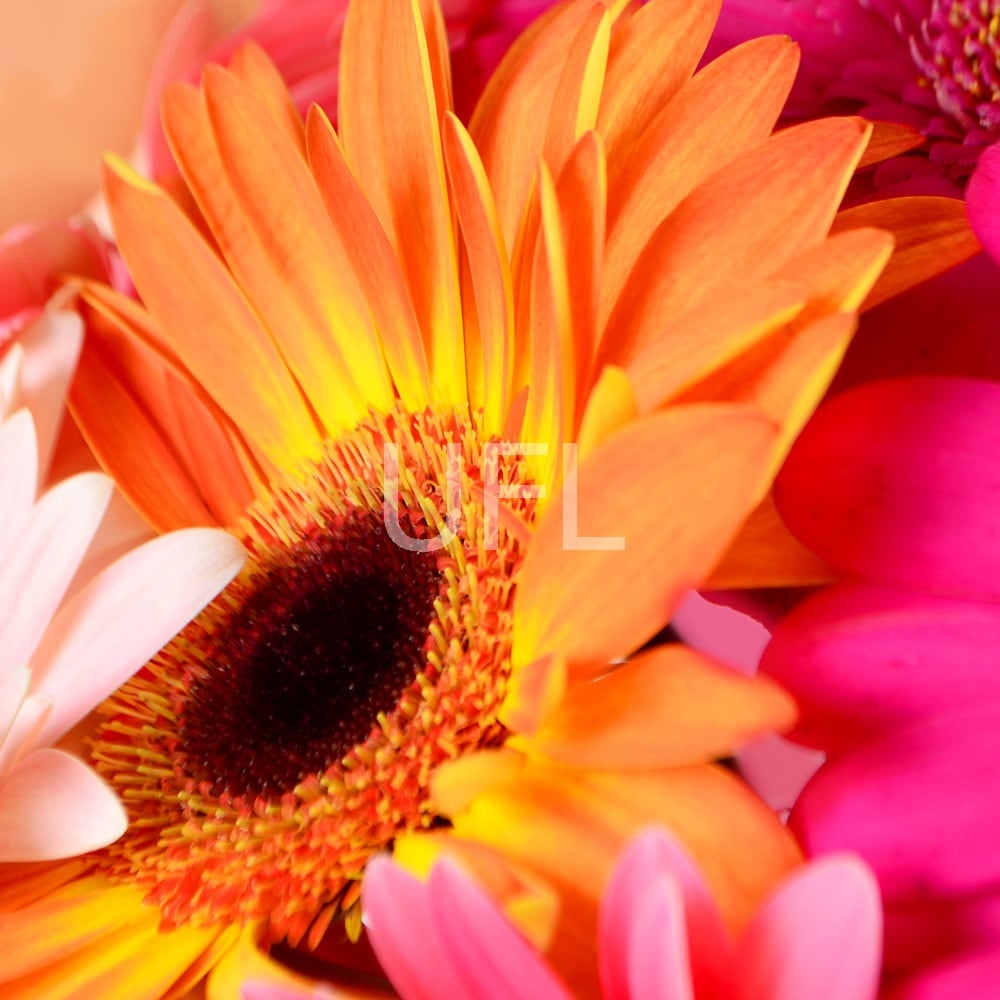  Bouquet With gerberas
													