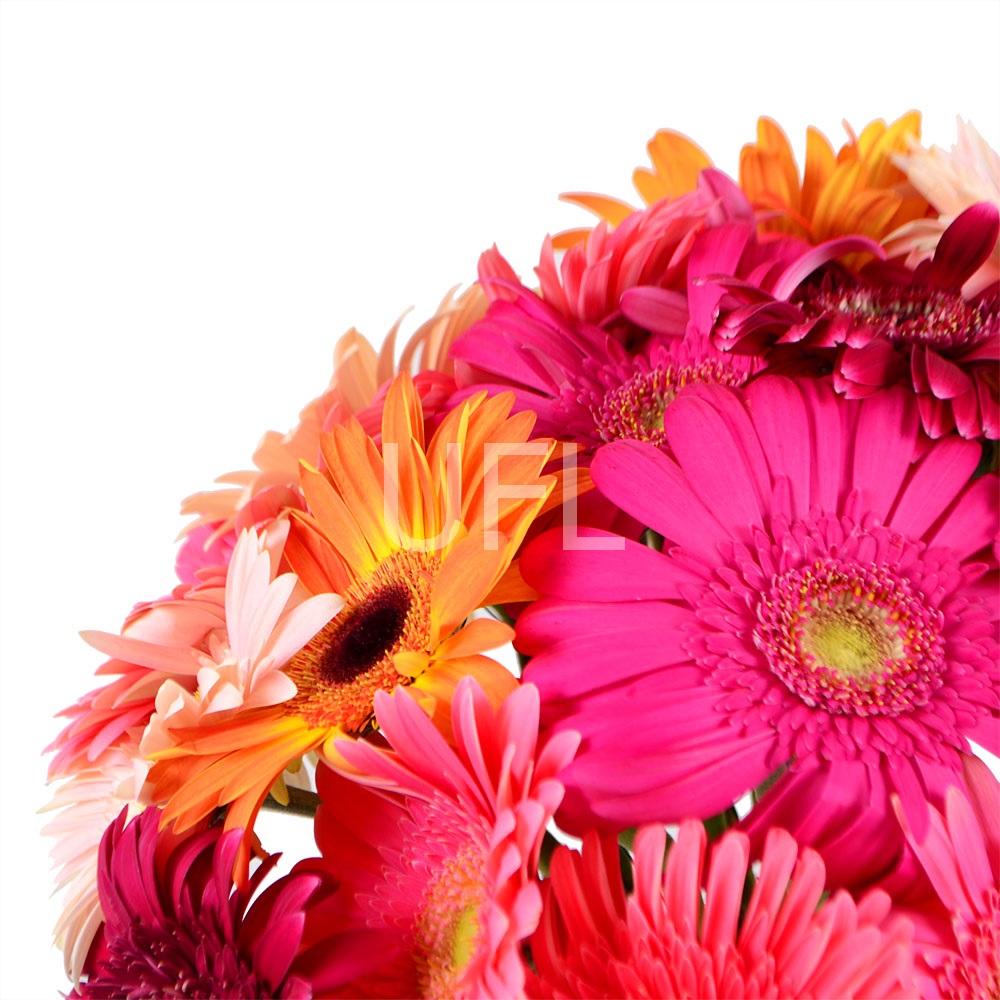  Bouquet With gerberas
													