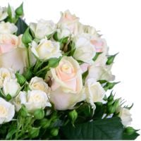 Bouquet of flowers Cream
														